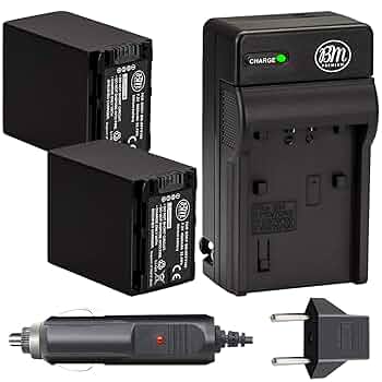 Amazon.com : BM 2-Pack of NP-FV100 Batteries and Charger for